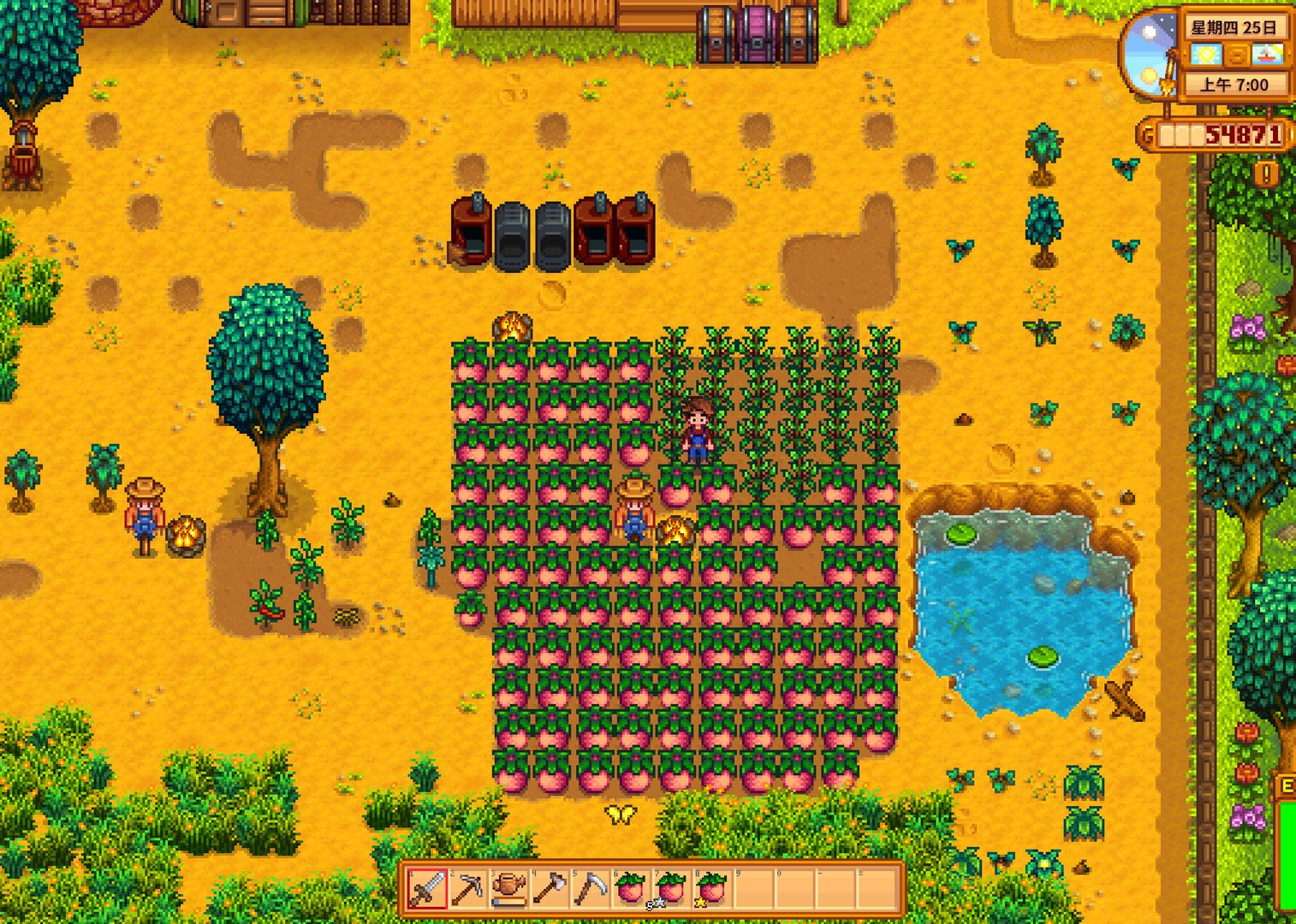 只狼：影逝二度 重制版 截图11