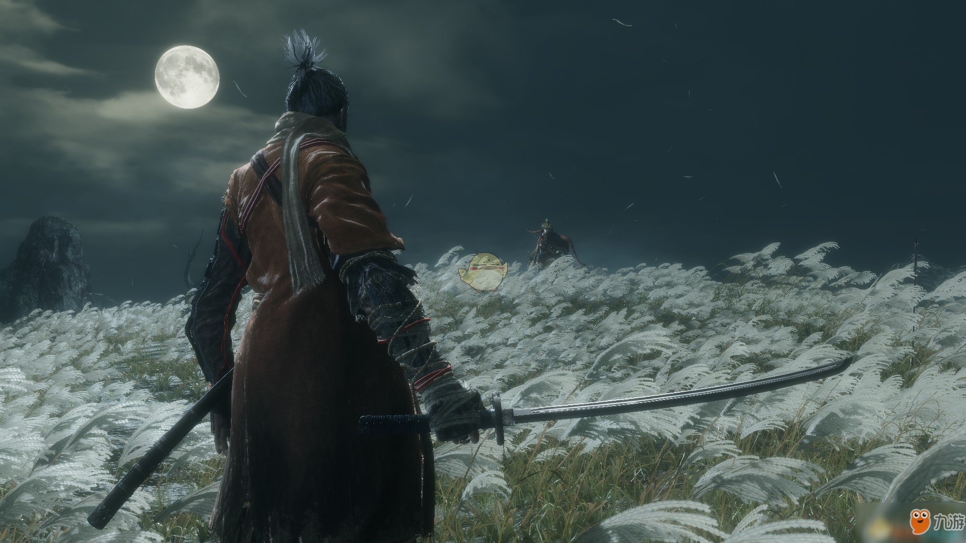 巫师3：狂猎 终极版 截图10